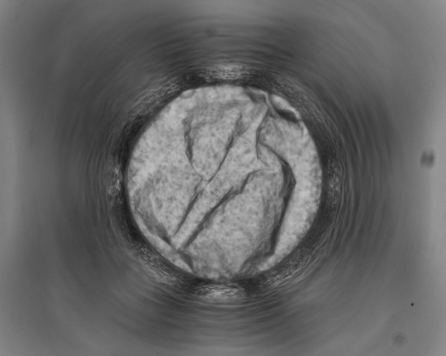 X0000096640555200803041129