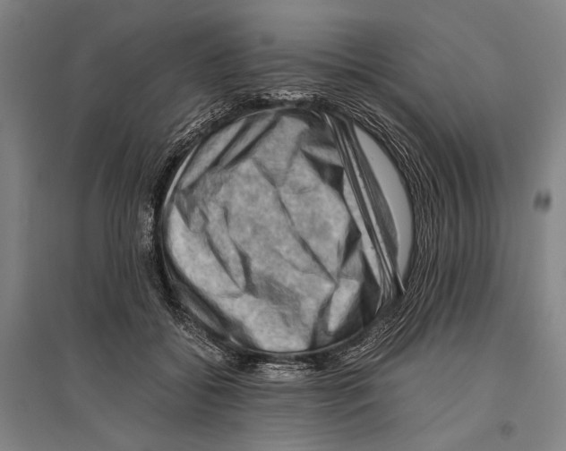 X0000096640556200803041129