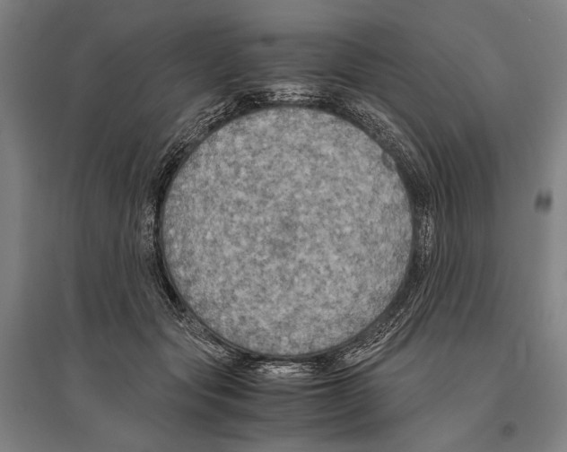 X0000096640557200803041129