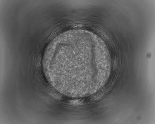 X0000096640561200803041129