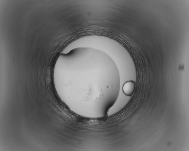 X0000096640562200803041129