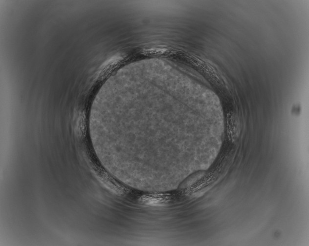 X0000096640563200803041129