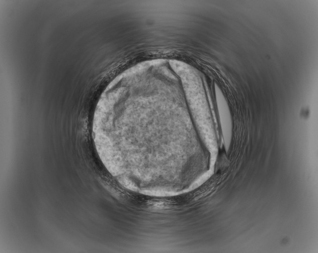 X0000096640564200803041129