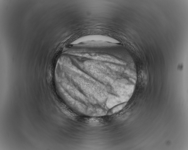 X0000096640566200803041129