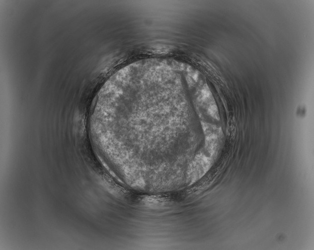 X0000096640568200803041129