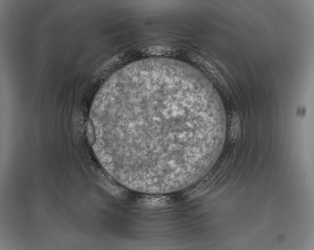 X0000096640569200803041129