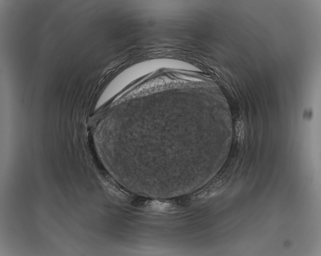 X0000096640570200803041129