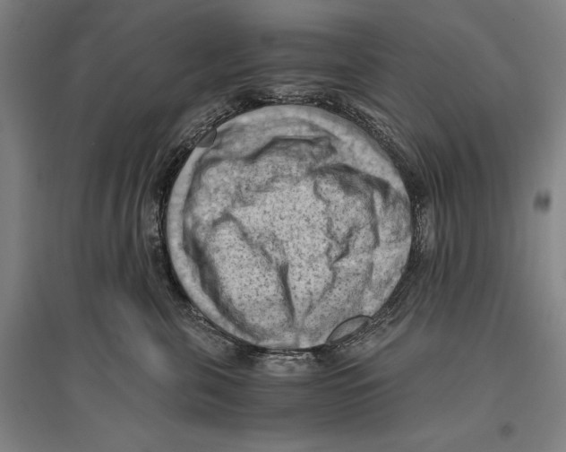 X0000096640571200803041129