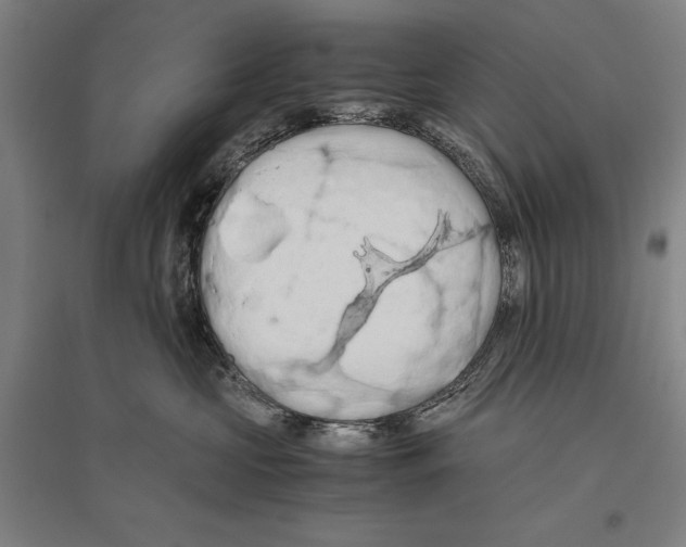 X0000096640573200803041129