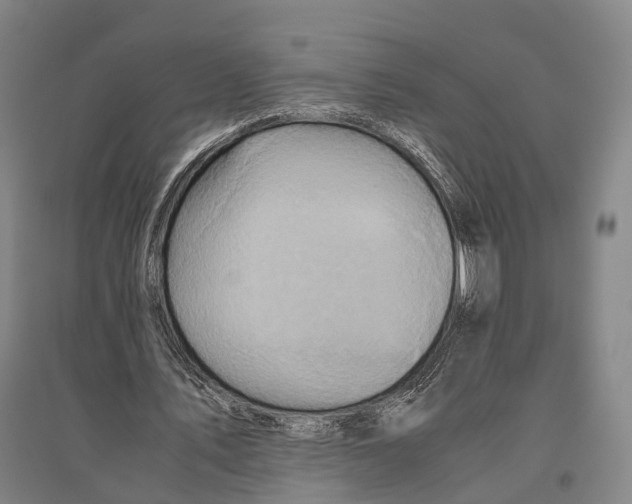 X0000096640579200803041129