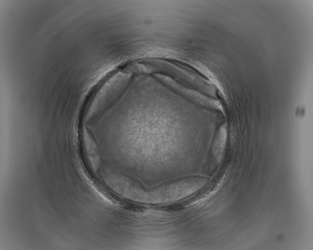 X0000096640581200803041128