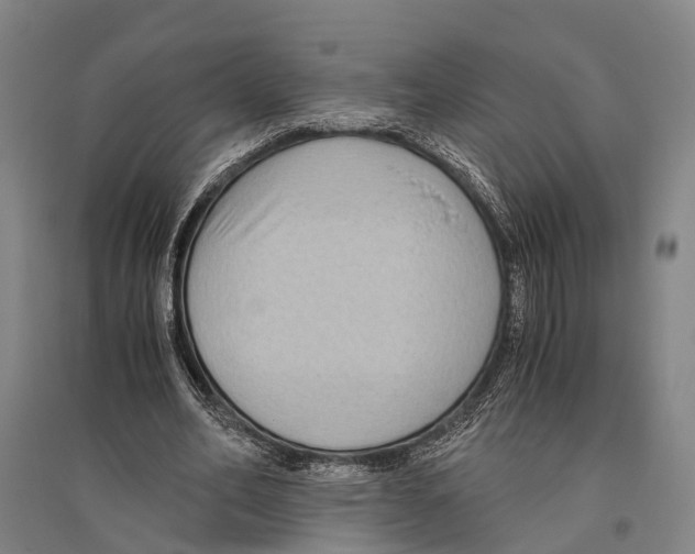 X0000096640582200803041128