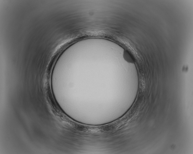 X0000096640583200803041128