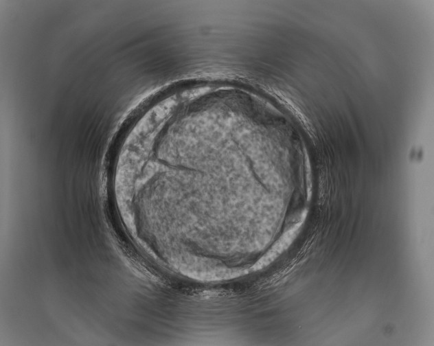 X0000096640584200803041128