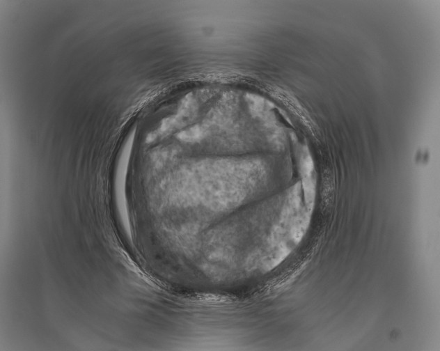 X0000096640585200803041128