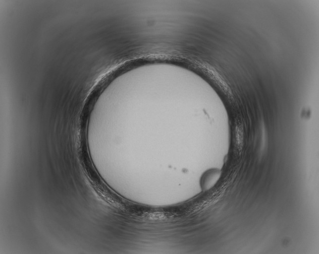 X0000096640588200803041128