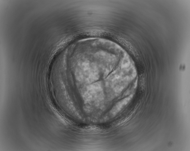 X0000096640589200803041128