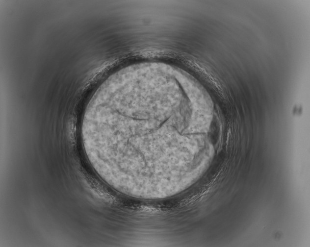 X0000096640592200803041128