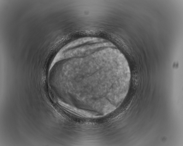 X0000096640593200803041128