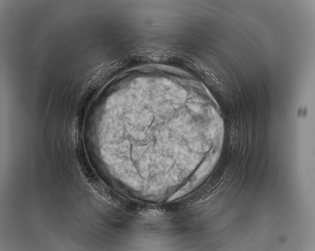 X0000096640594200803041128