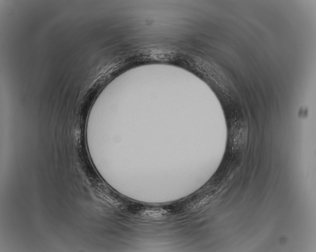 X0000096640595200803041128