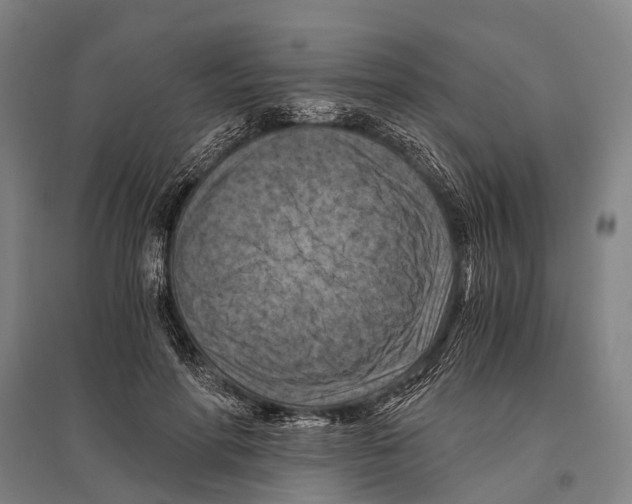 X0000096640598200803041128