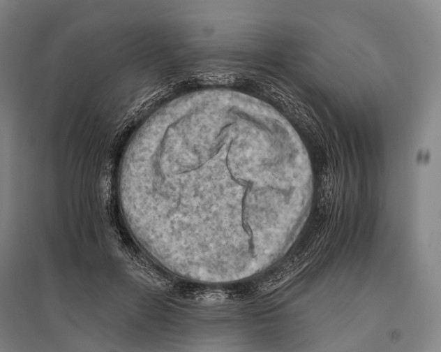 X0000096640600200803041128