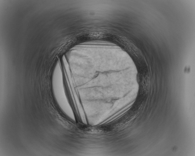 X0000096640601200803041128