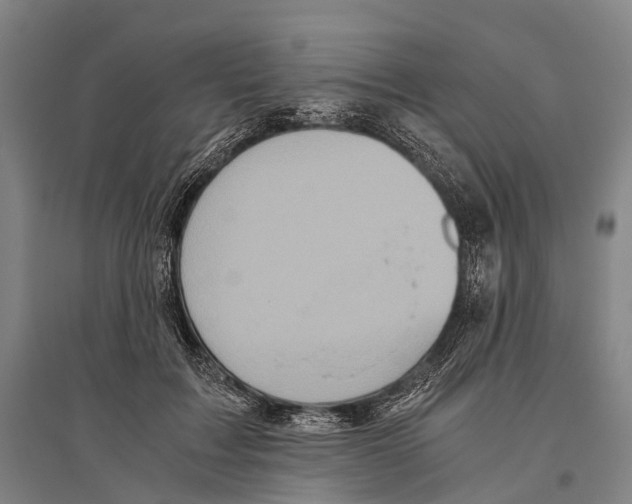 X0000096640603200803041128