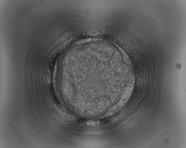 X0000096640606200803041128