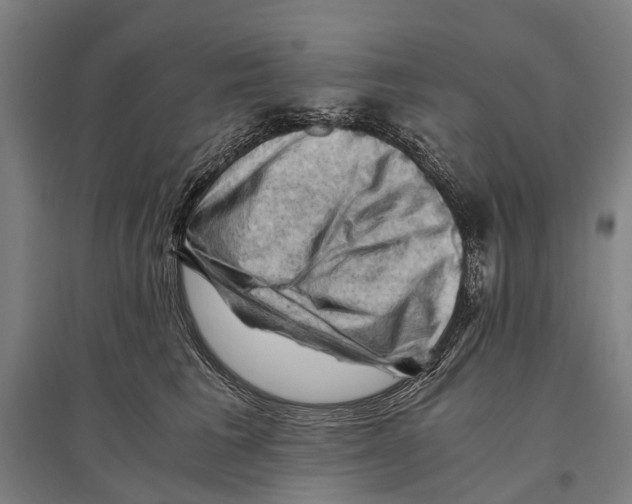 X0000096640613200803041128