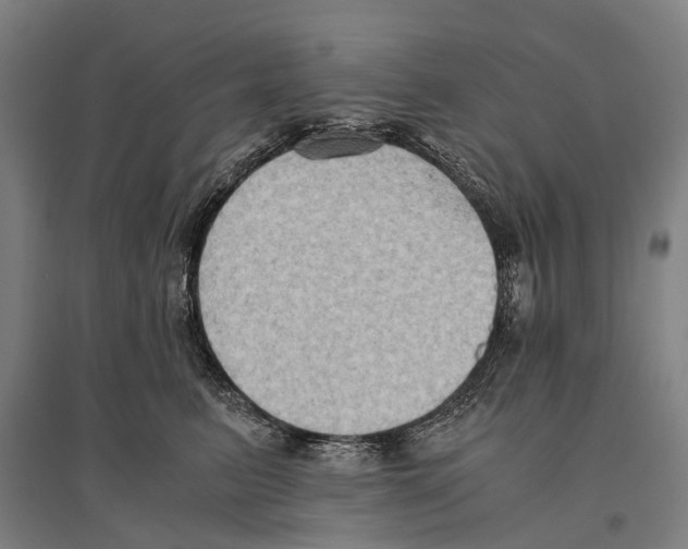 X0000096640615200803041128