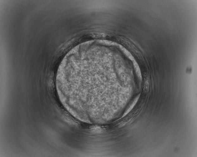 X0000096640616200803041128