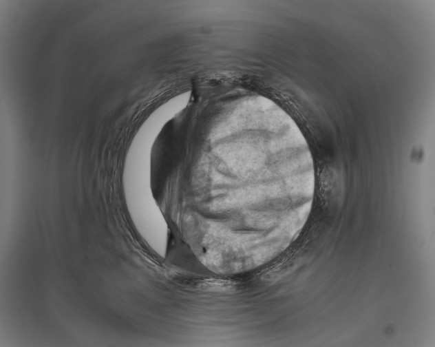 X0000096640617200803041128