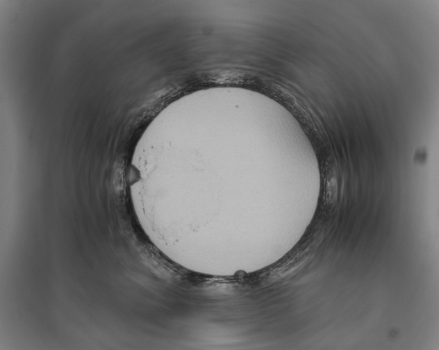 X0000096640620200803041128