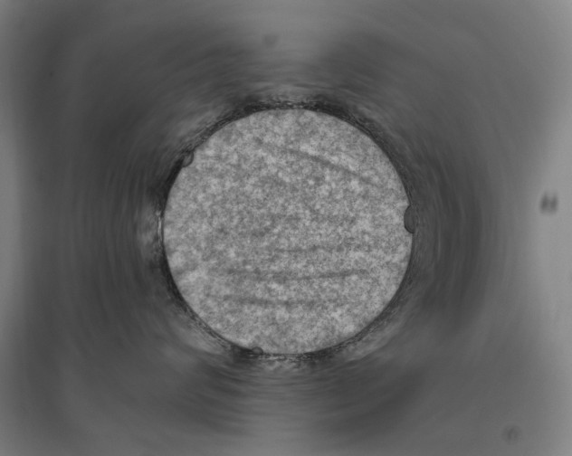 X0000096640624200803041128