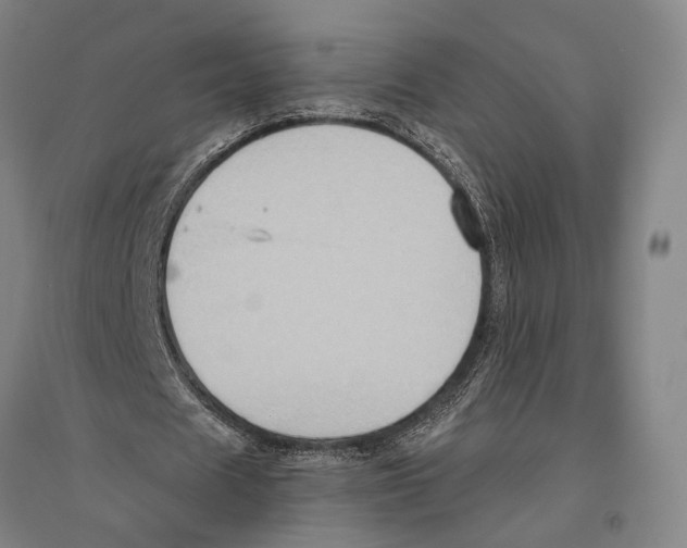 X0000096640625200803041127