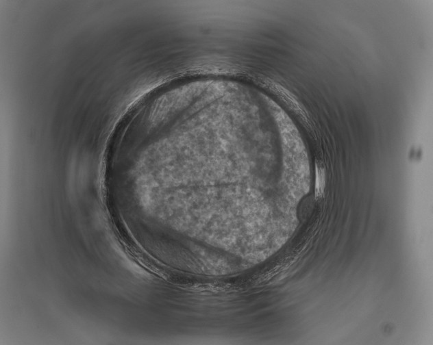 X0000096640627200803041127