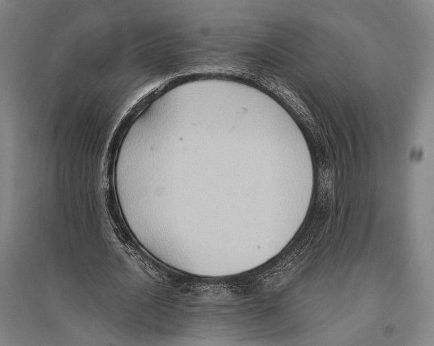 X0000096640628200803041127