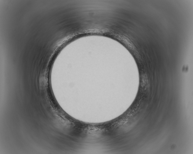 X0000096640632200803041127