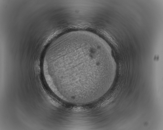 X0000096640634200803041127