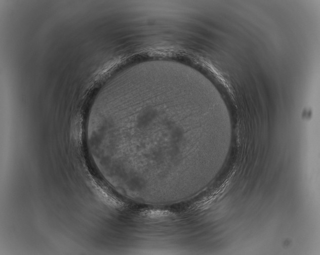 X0000096640637200803041127