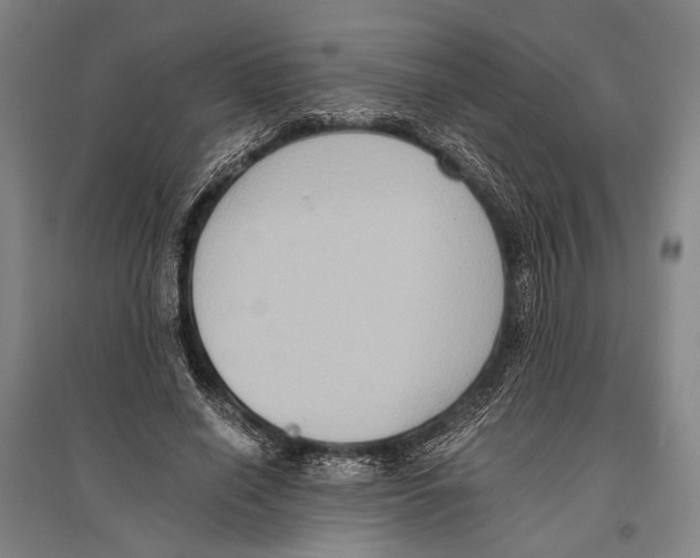 X0000096640638200803041127