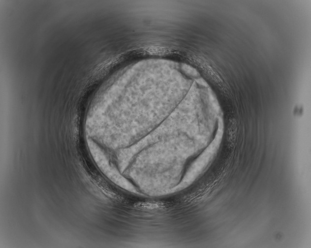 X0000096640639200803041127