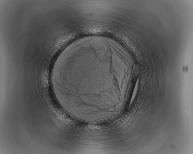 X0000096640640200803041127