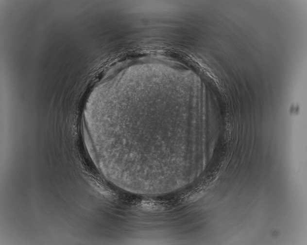 X0000096640641200803041127