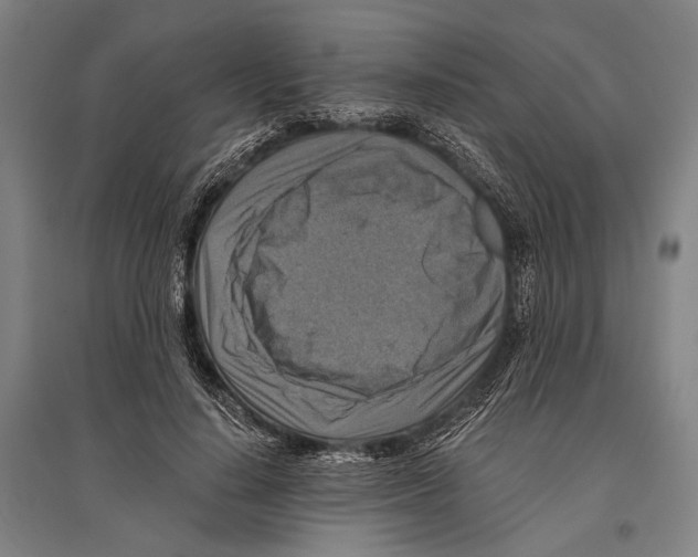 X0000096640644200803041127