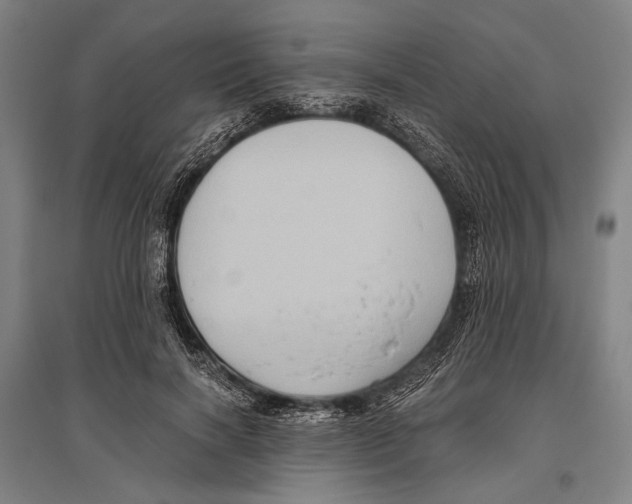 X0000096640646200803041128