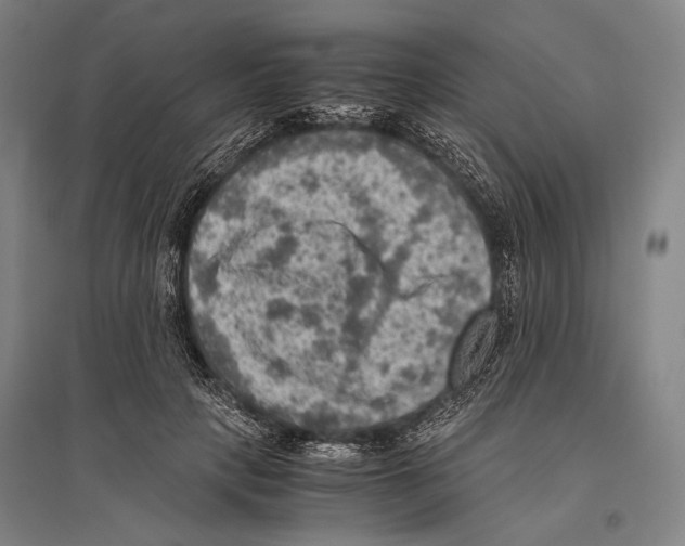 X0000096640649200803041128