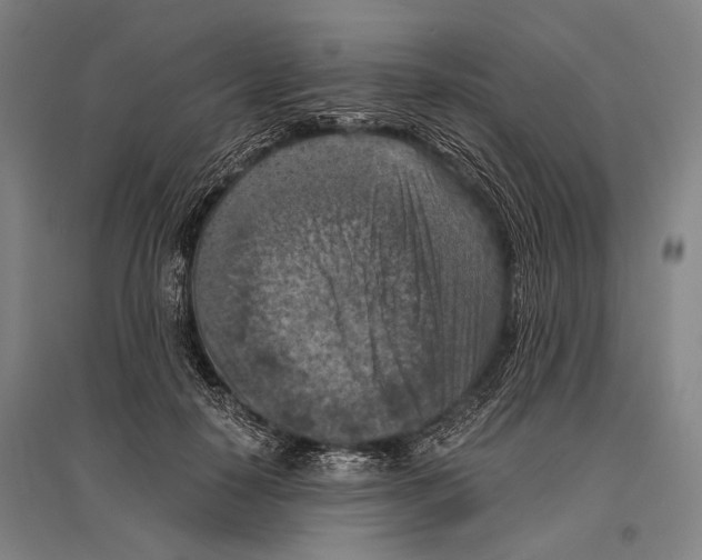 X0000096640650200803041128